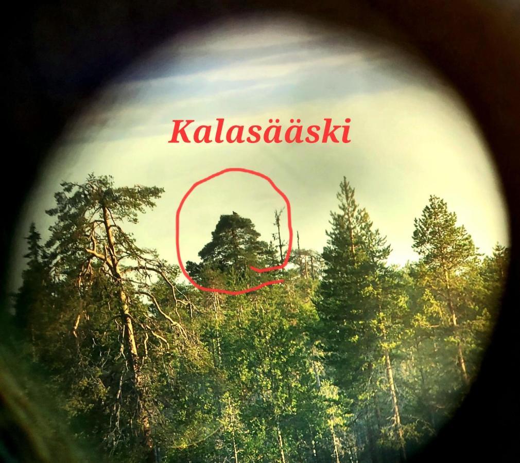 Salen Saunamoekki Villa Ranua Kültér fotó
